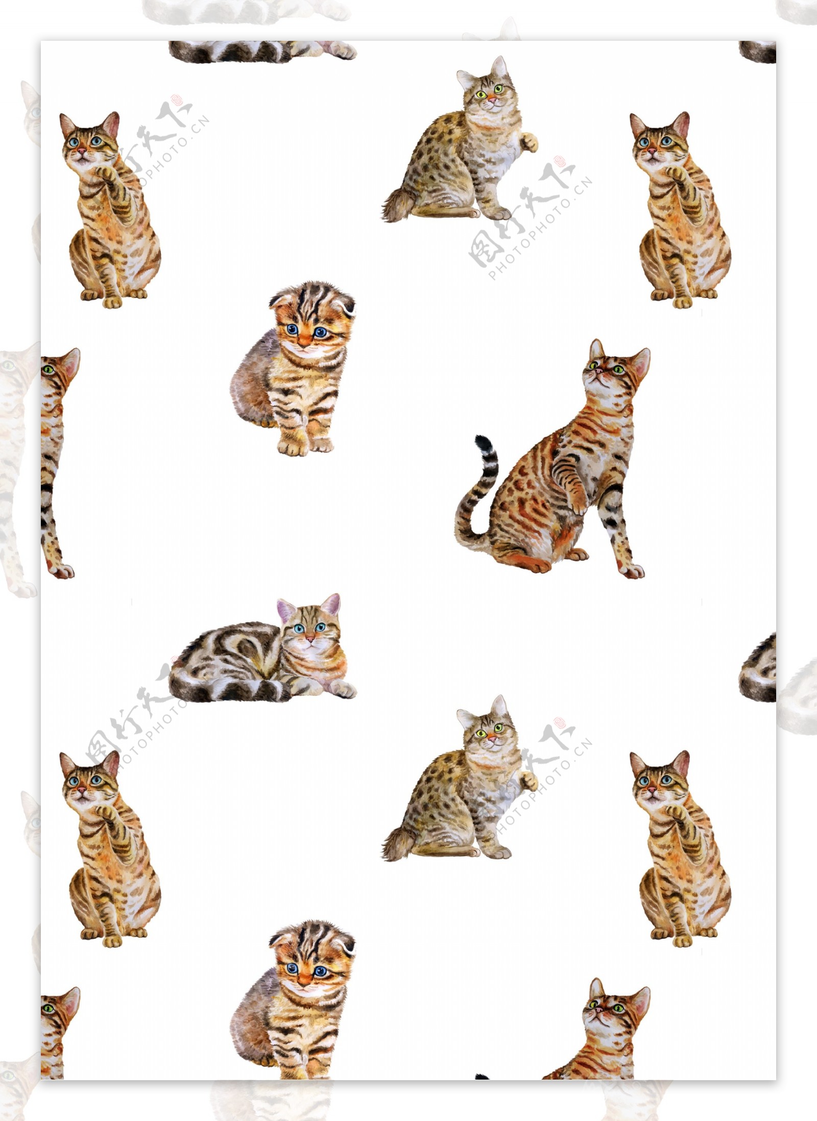 猫图案下载猫分层素材下载