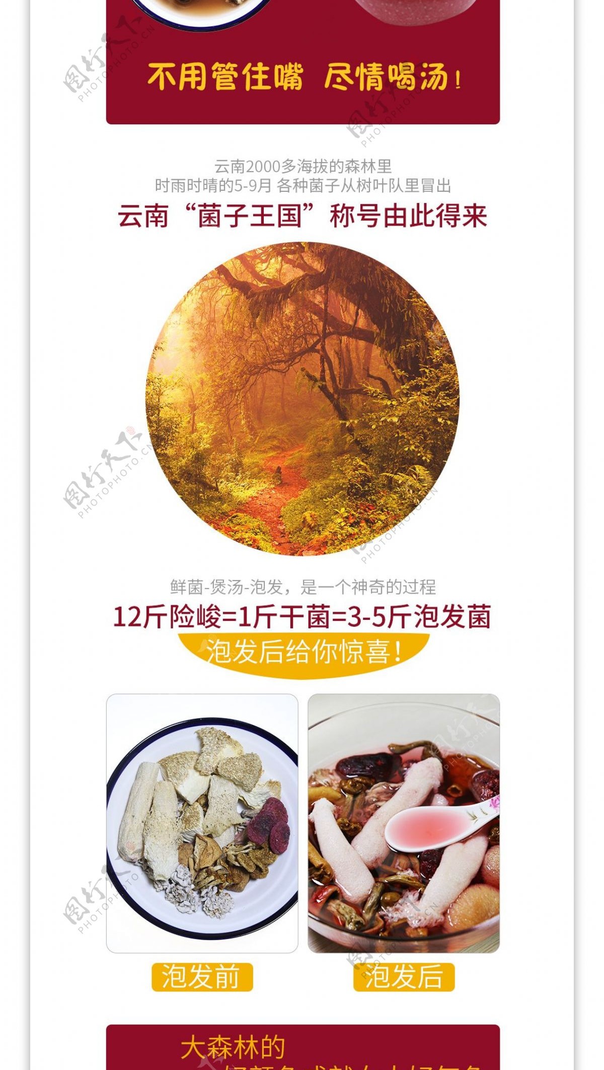 红色汤料菌子食品详情页模板