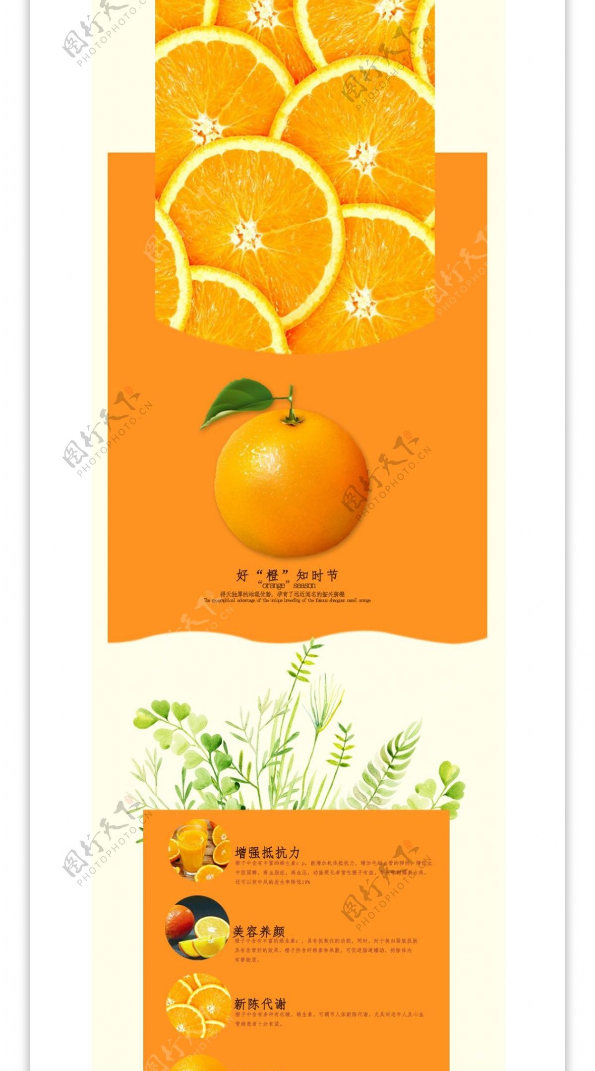 电商淘宝橙子详情页模版