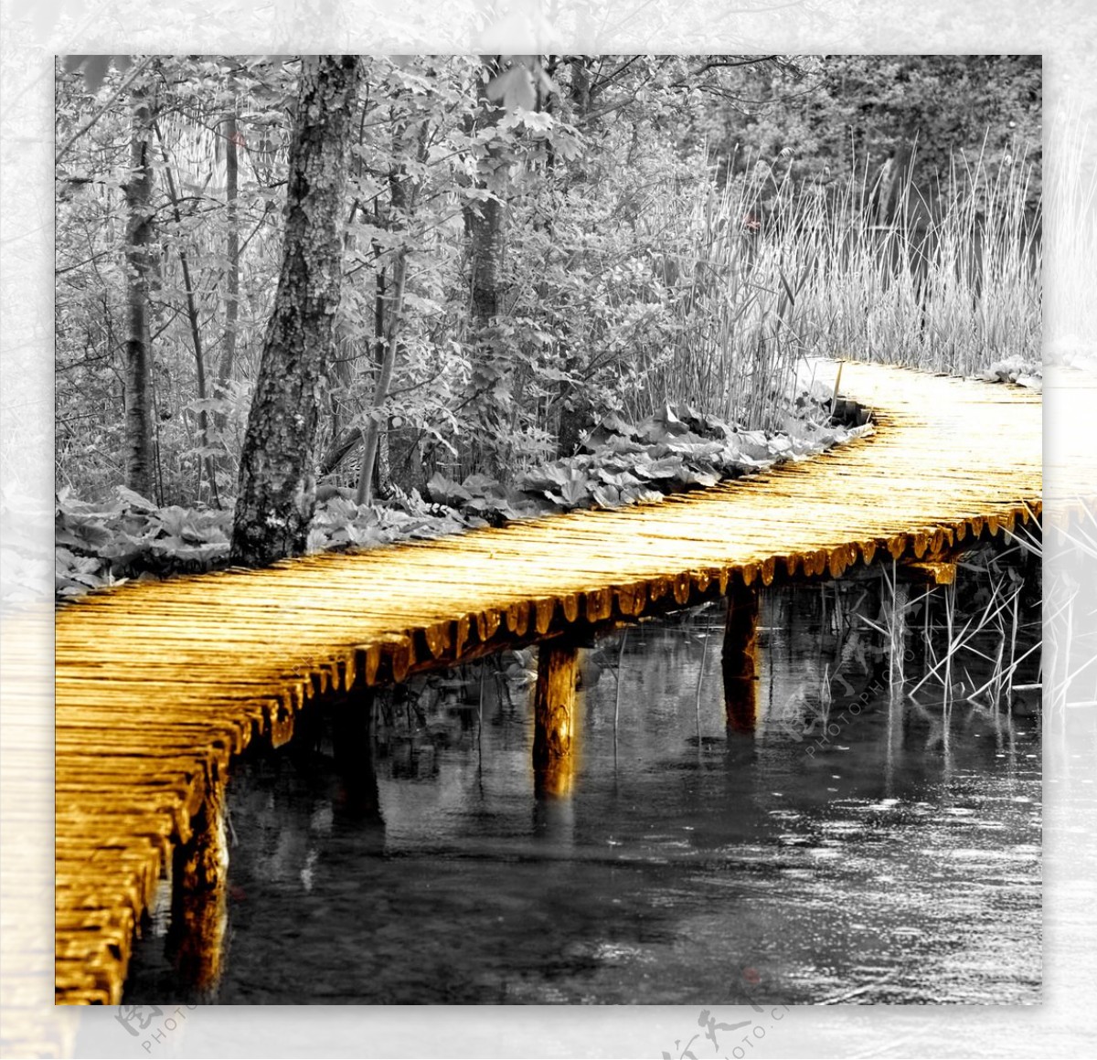 北欧黄金桥装饰画