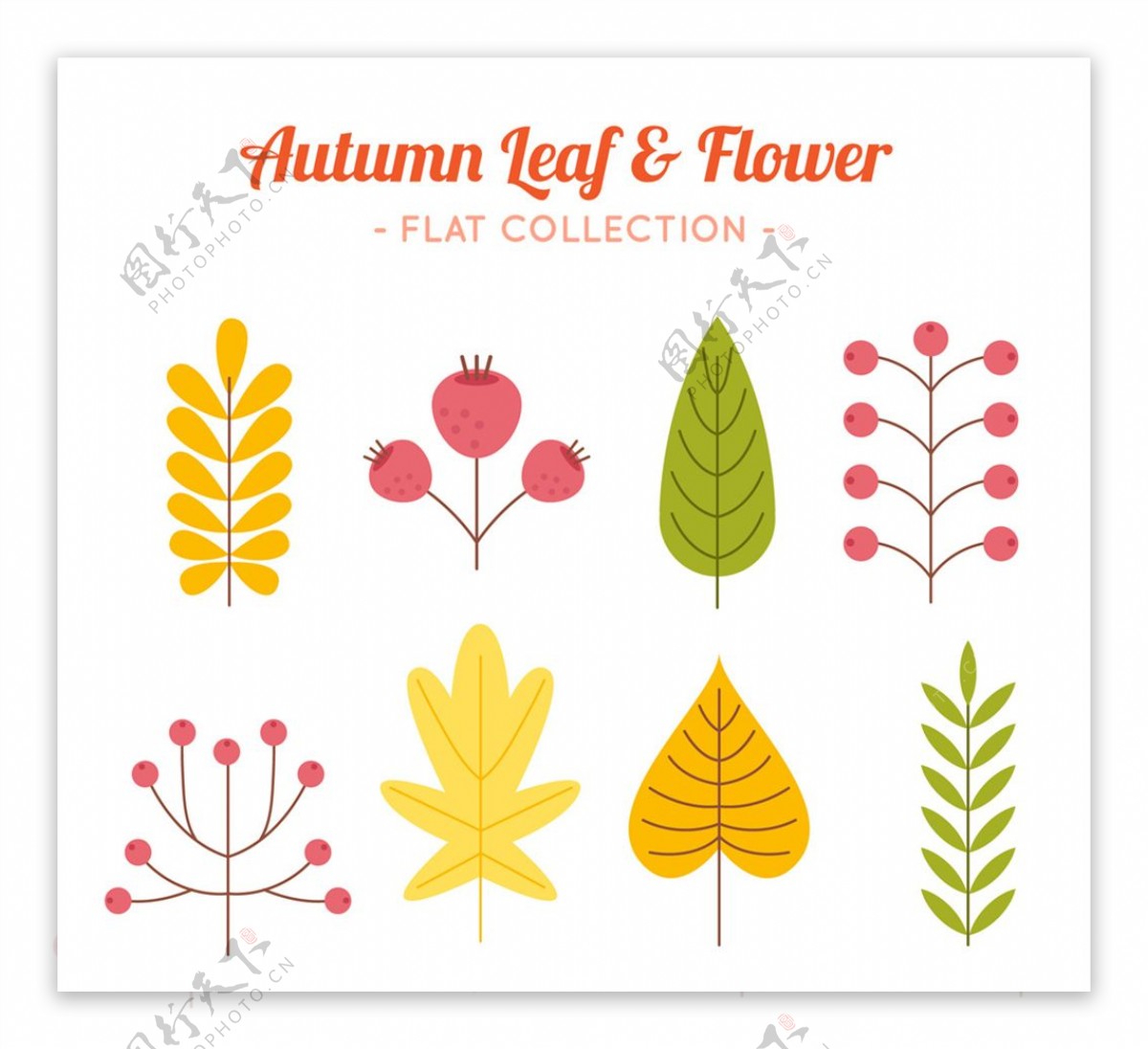 8款扁平化秋季树叶和花卉矢量图