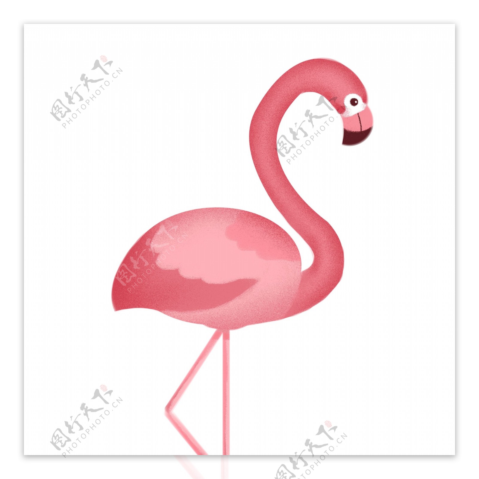 粉红色火烈鸟爱情鸟设计可商用元素