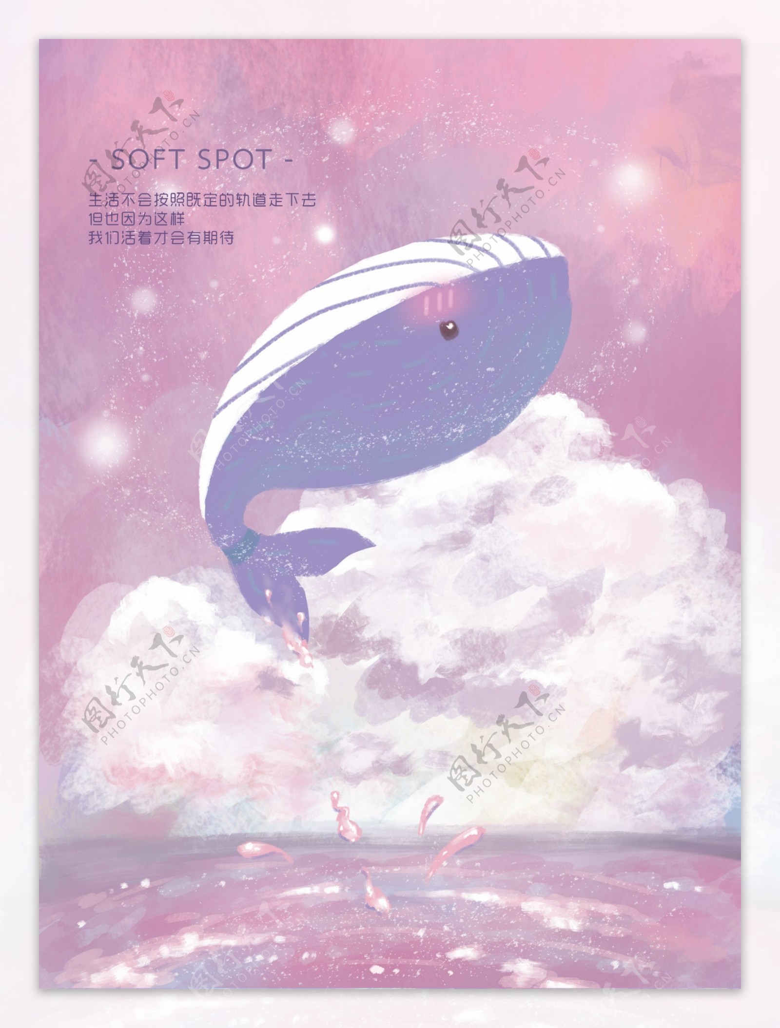 粉色鲸鱼插画
