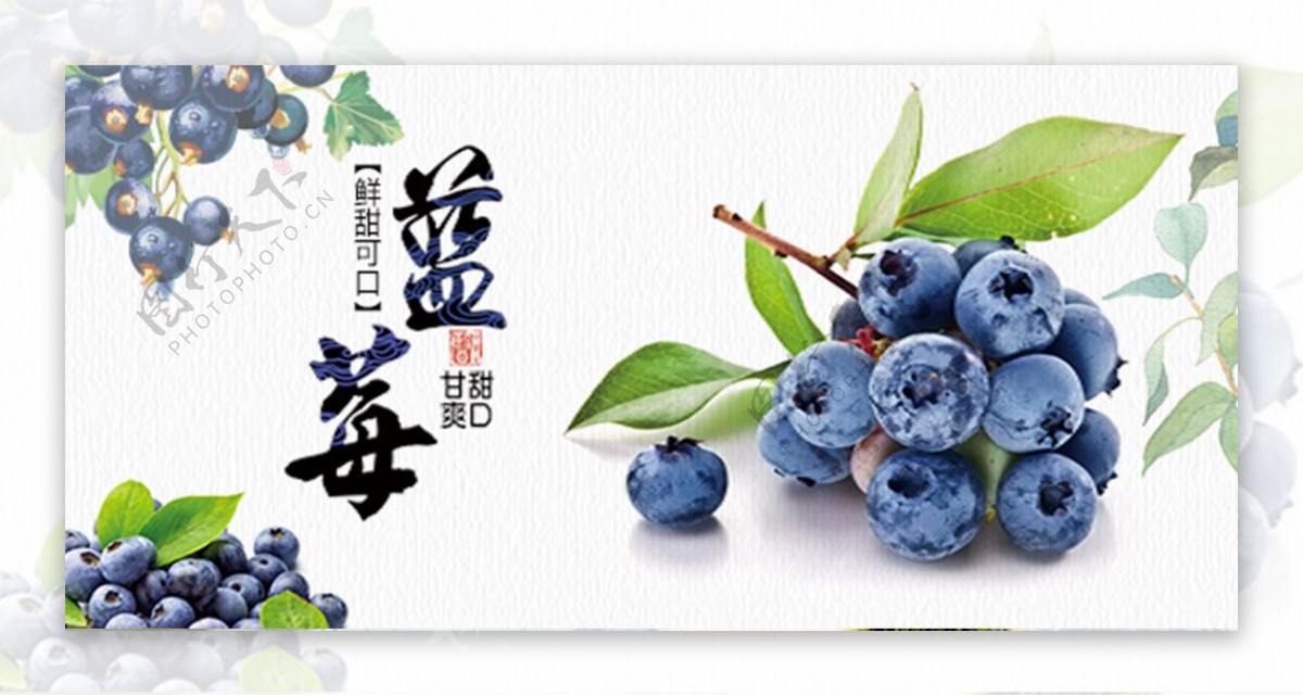 蓝莓海报小清新banner