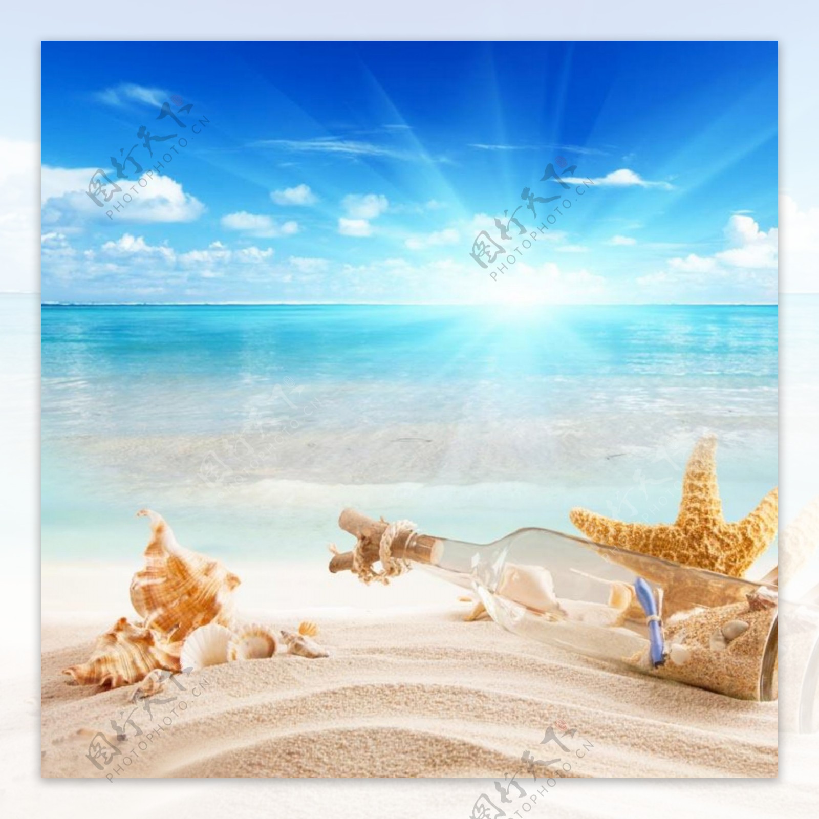 鱼缸背景海滩海星