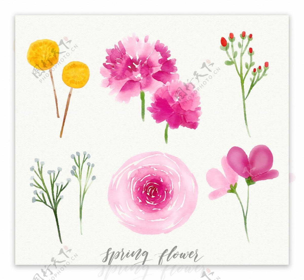 6款水彩绘春季花卉矢量素材