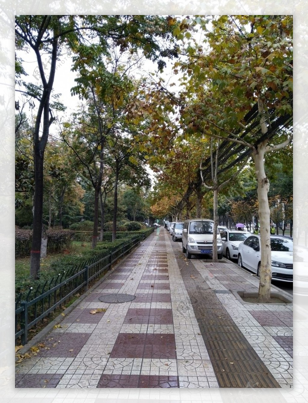 雨天的城市街道