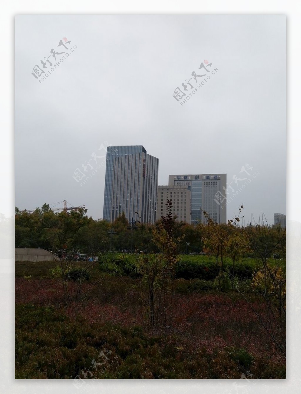 城市高楼风景