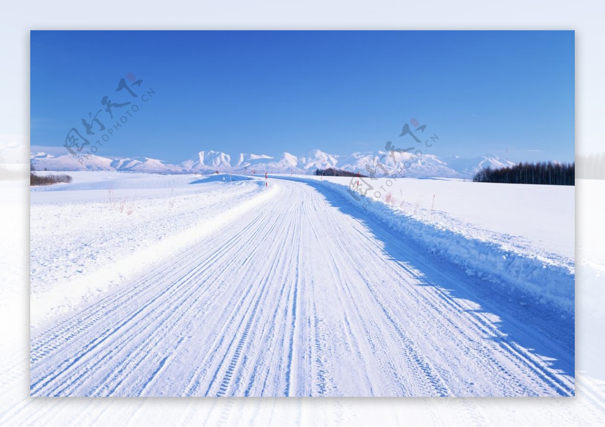 被雪覆盖的公路