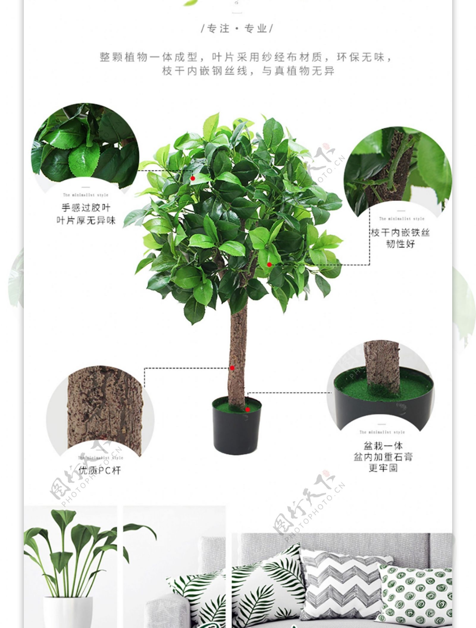 北欧风绿植盆栽详情模板简约风