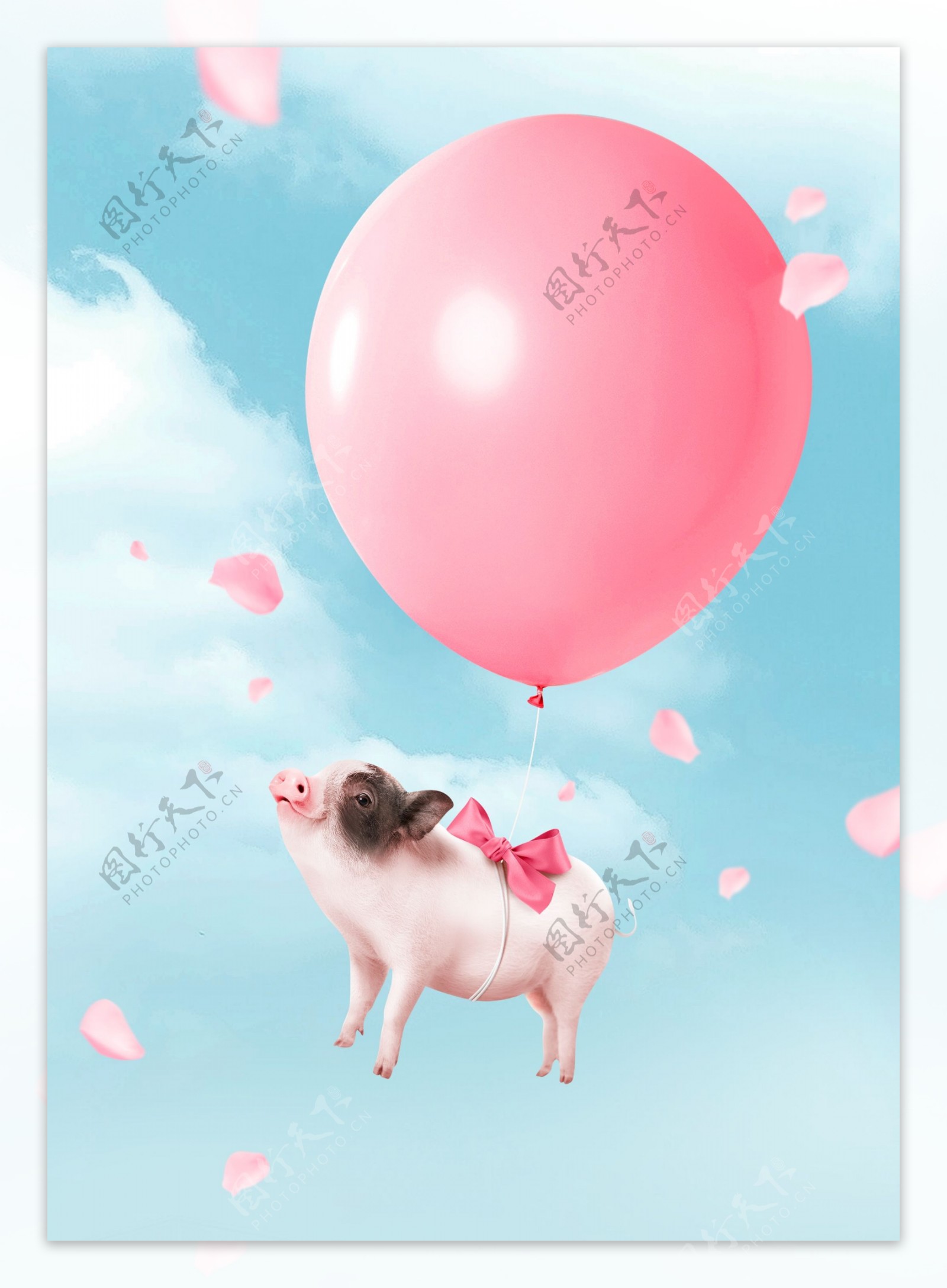 简约粉色气球2019猪年形象背景素材