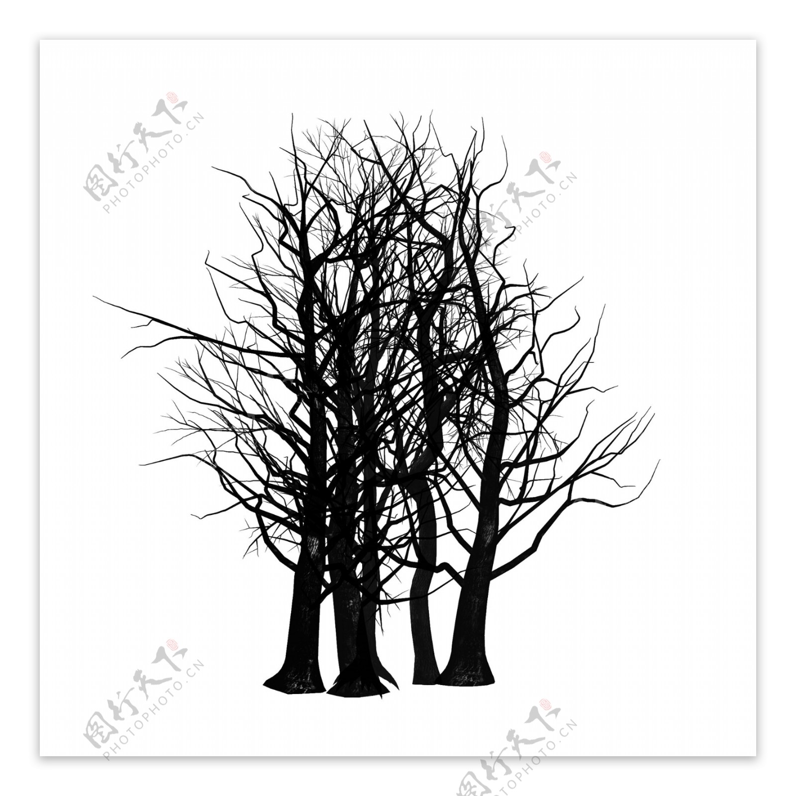 冬季黑色树木素材可商用