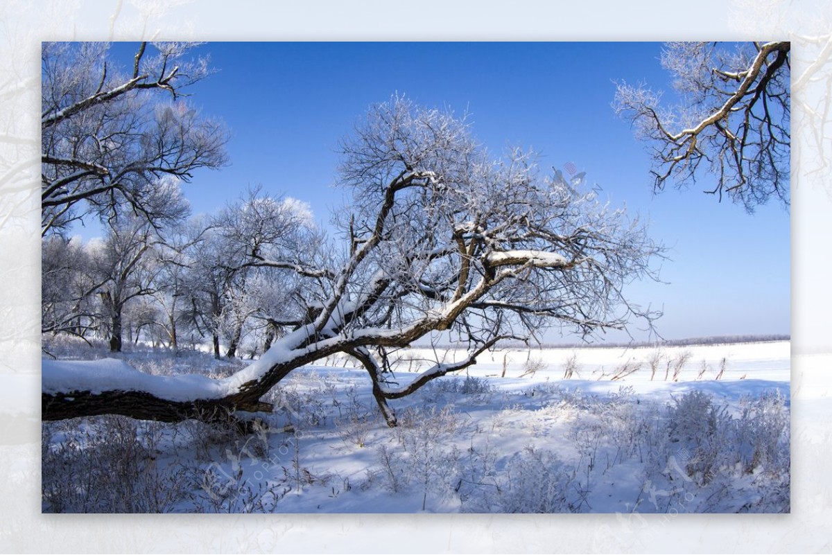 冰天雪地