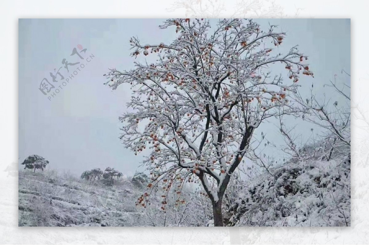 雪天风景