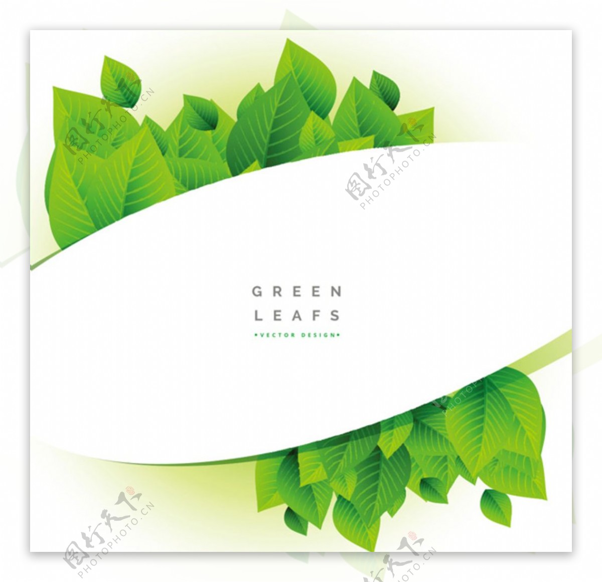 绿色树叶边框