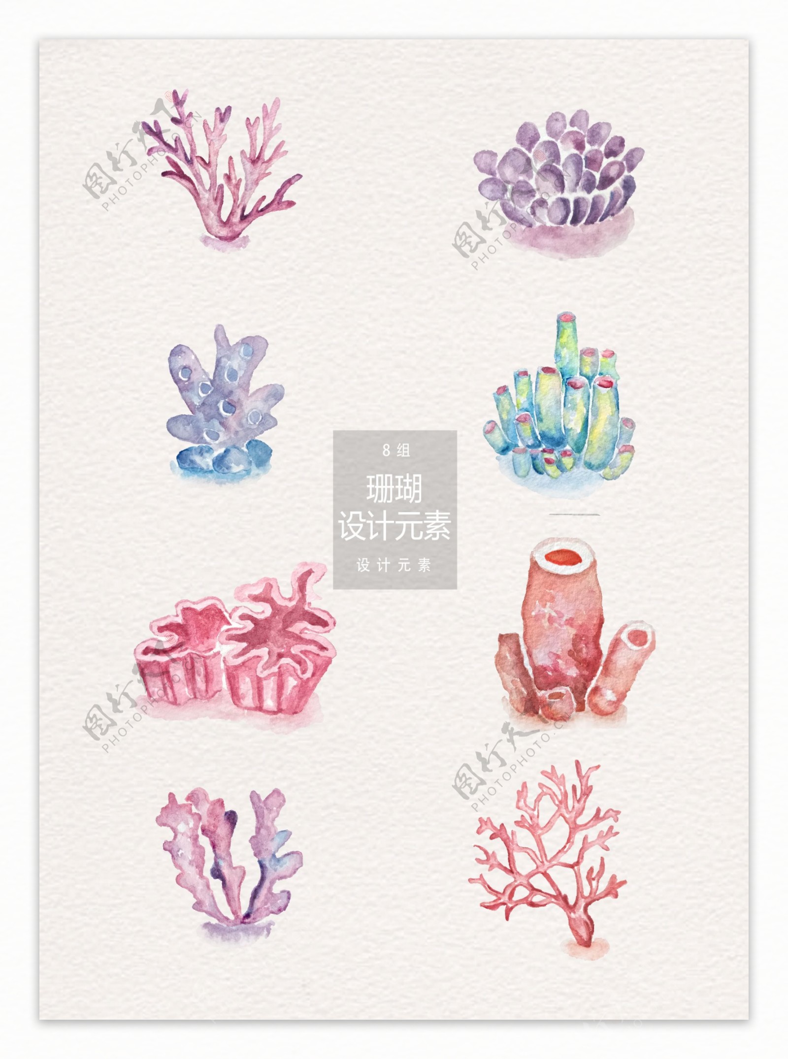 水彩珊瑚设计元素