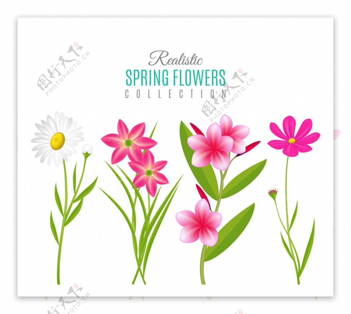 4款创意春季花卉矢量素材
