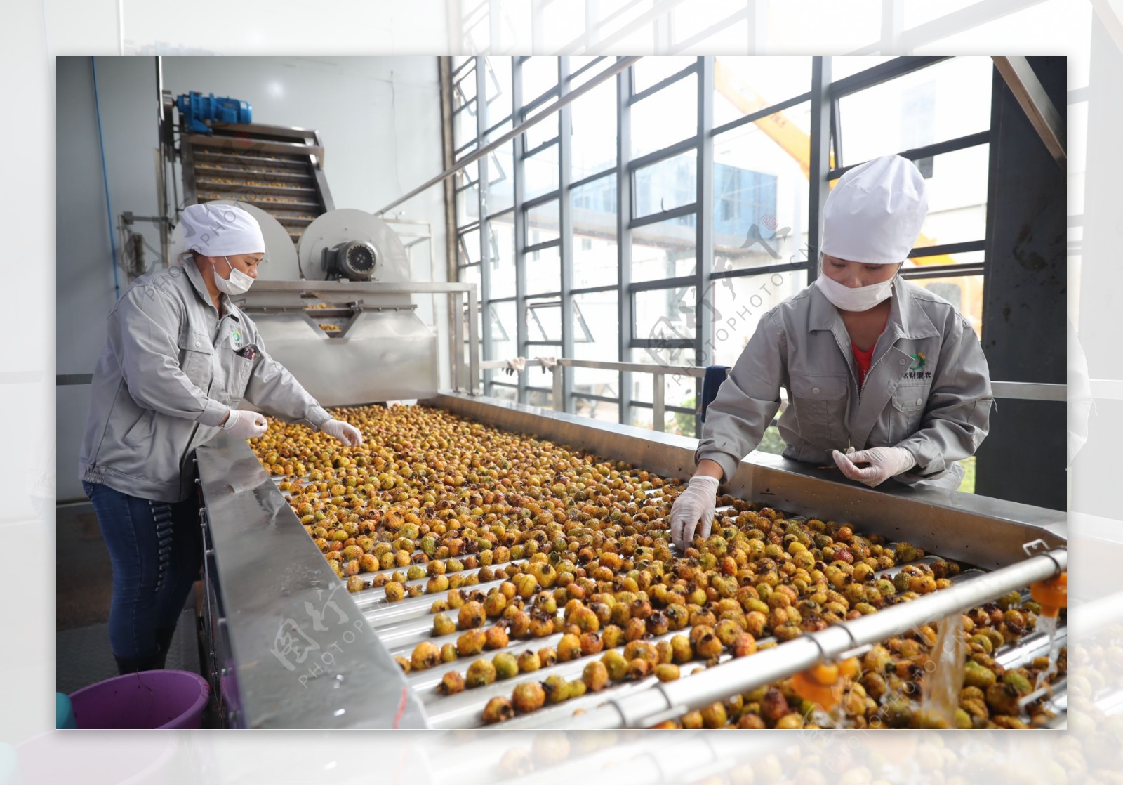 刺力王刺梨饮料厂生产流水线