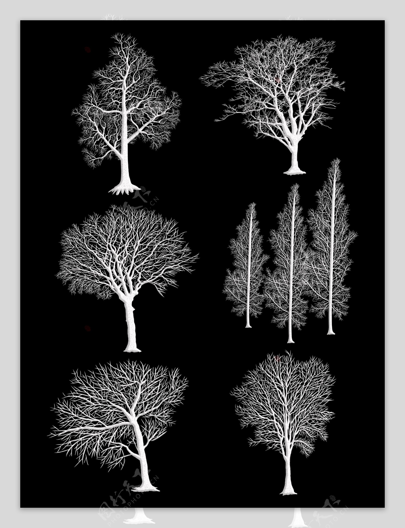 原创手绘冬季树木白色秃树枝干装饰剪影素材