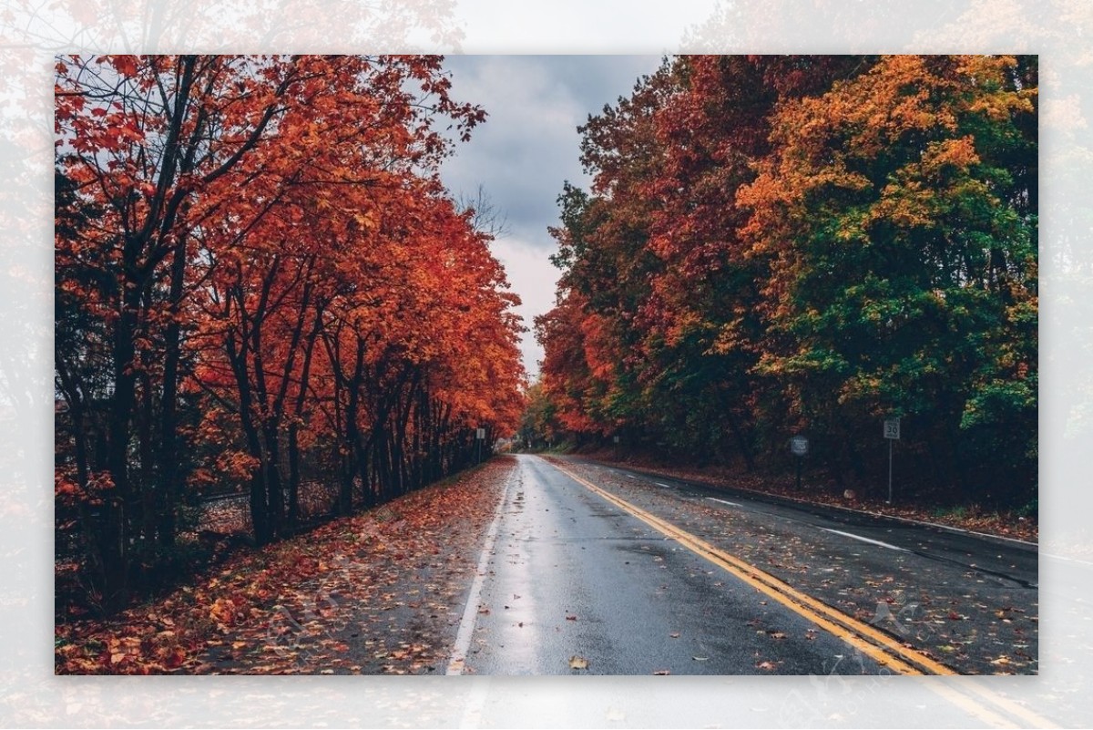 空荡荡的道路风景