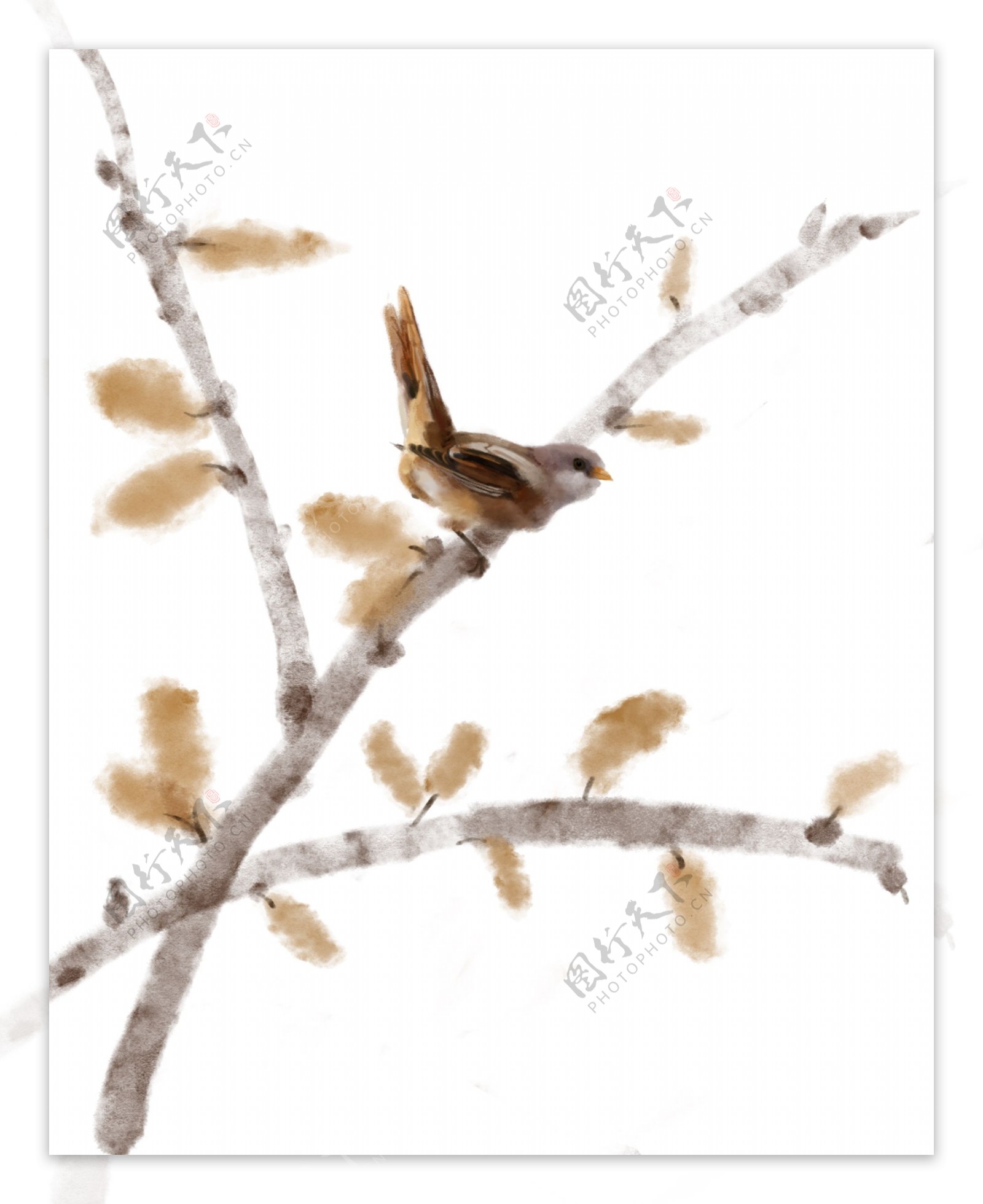 手绘鸟和树枝插画