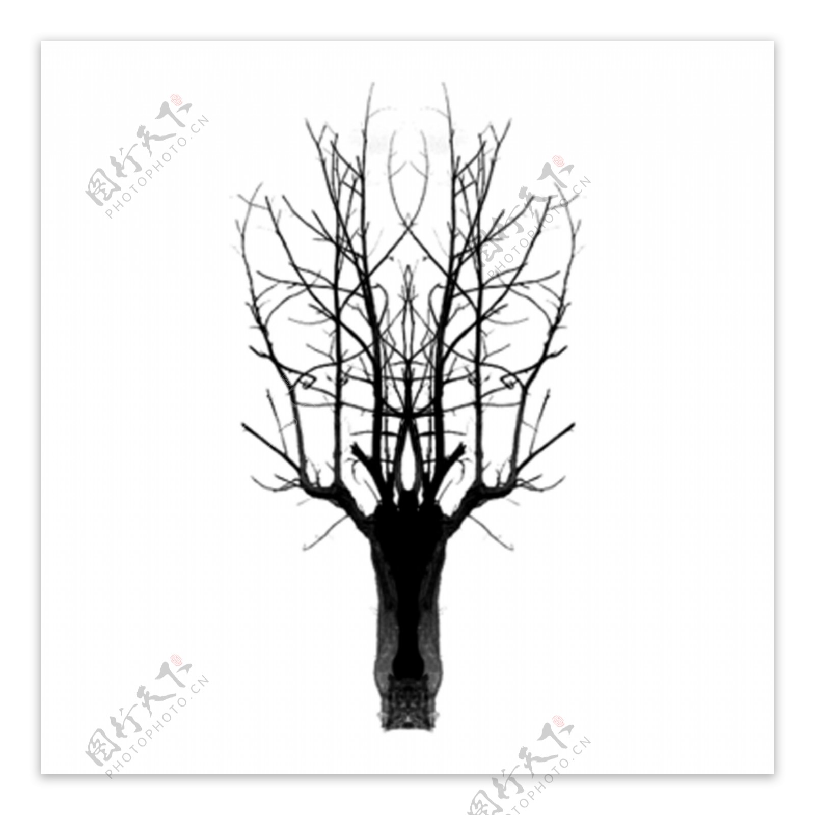 手绘简约冬季黑白枯树木剪影可商用素材