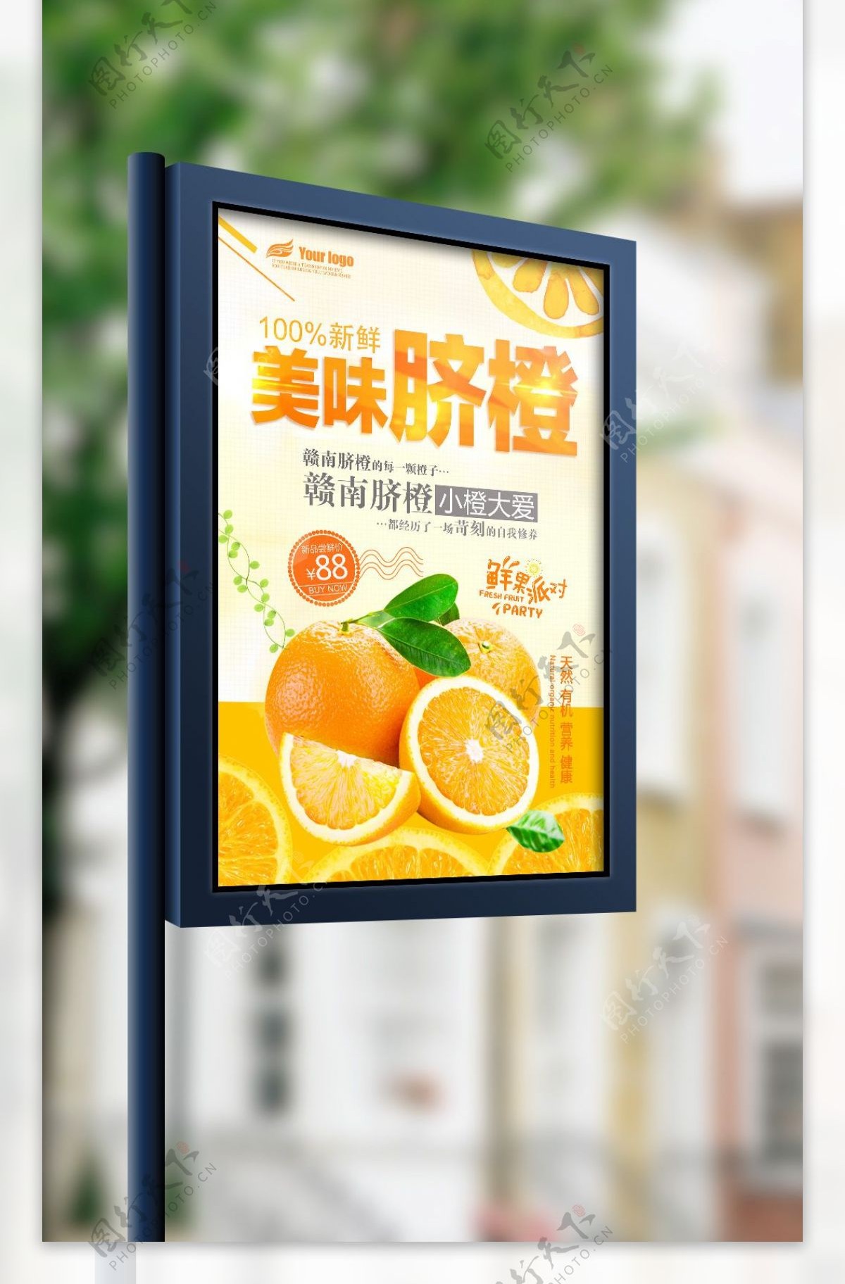 2017年新鲜赣南脐橙海报设计