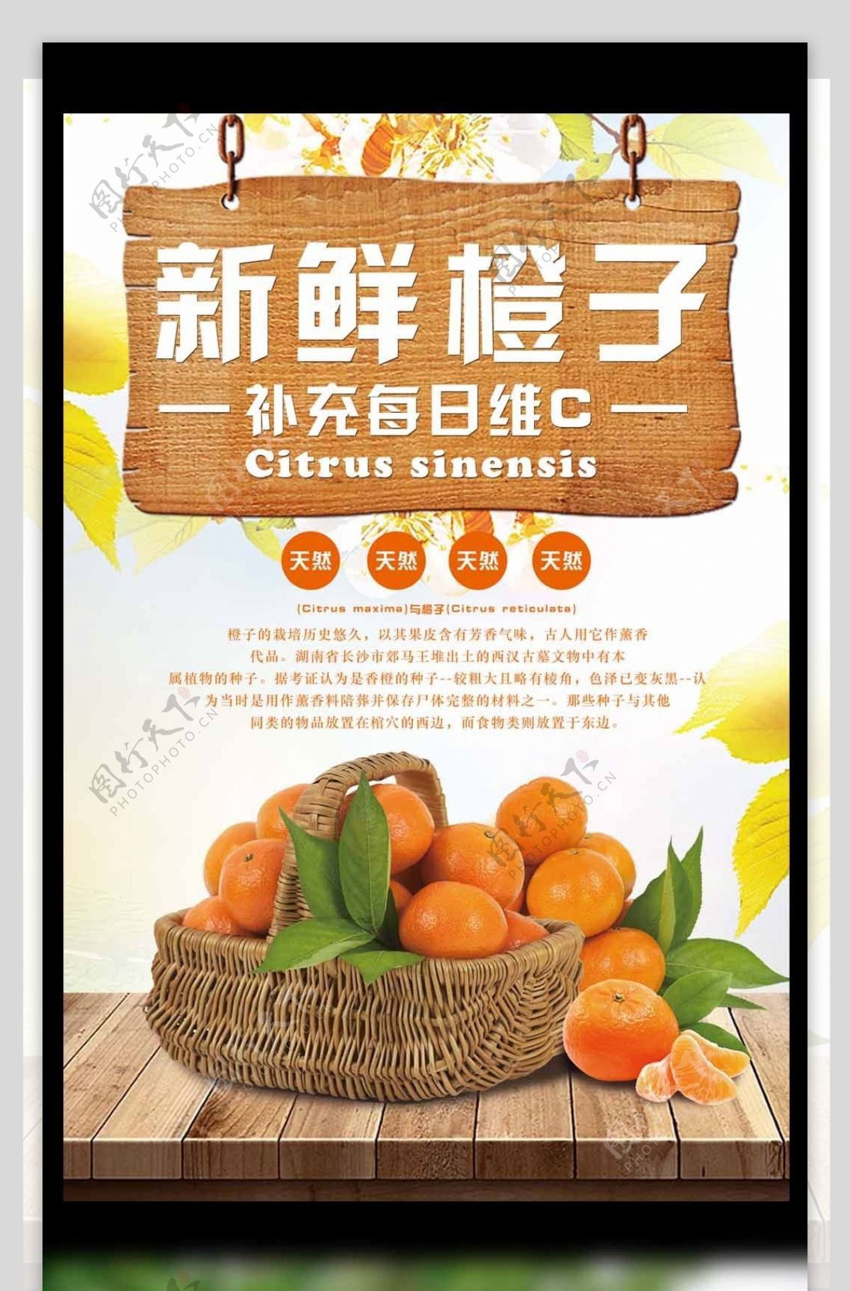 2017橙色天然新鲜橘子海报