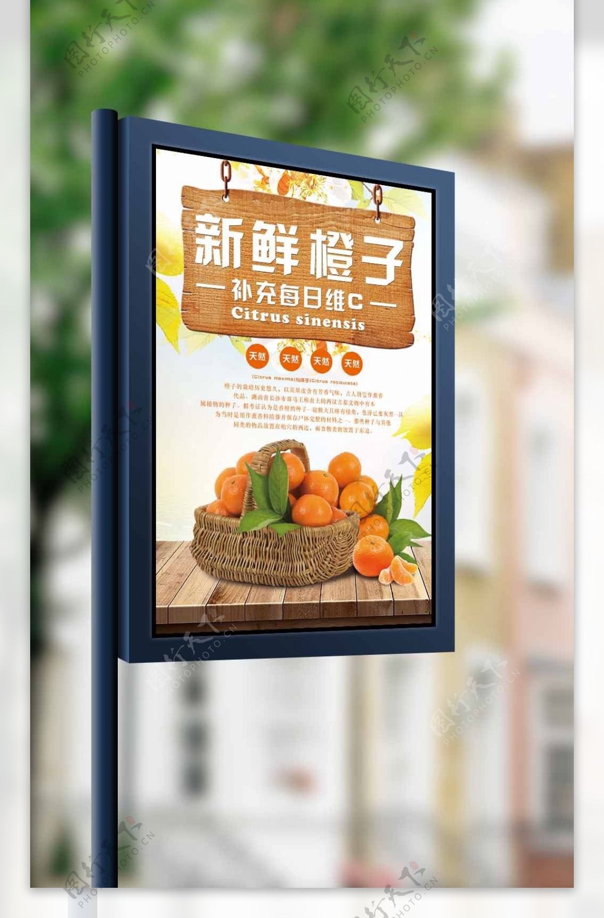 2017橙色天然新鲜橘子海报