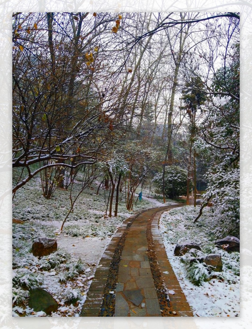 下雪天的公园风景