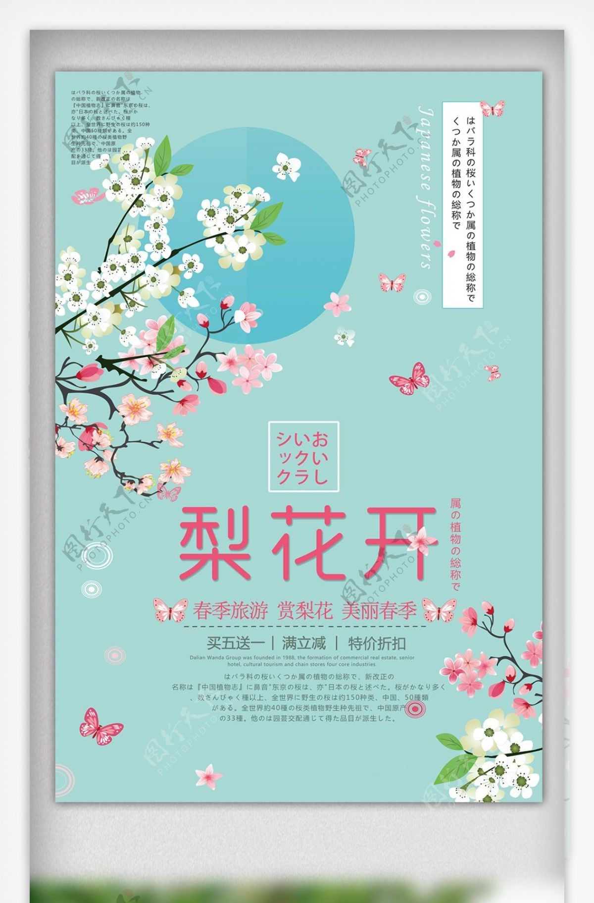 清新梨花节设计海报