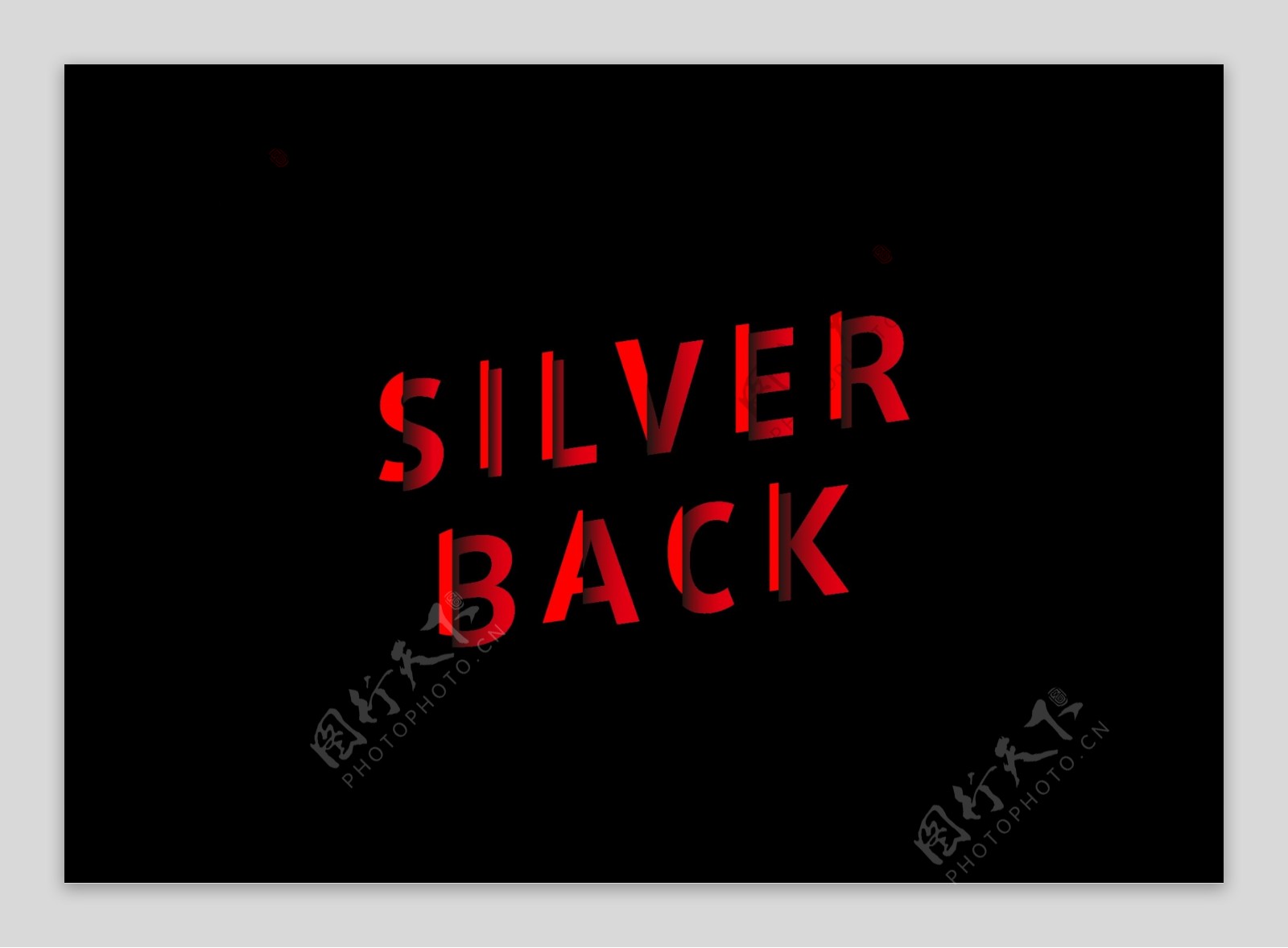 silverback字体质感