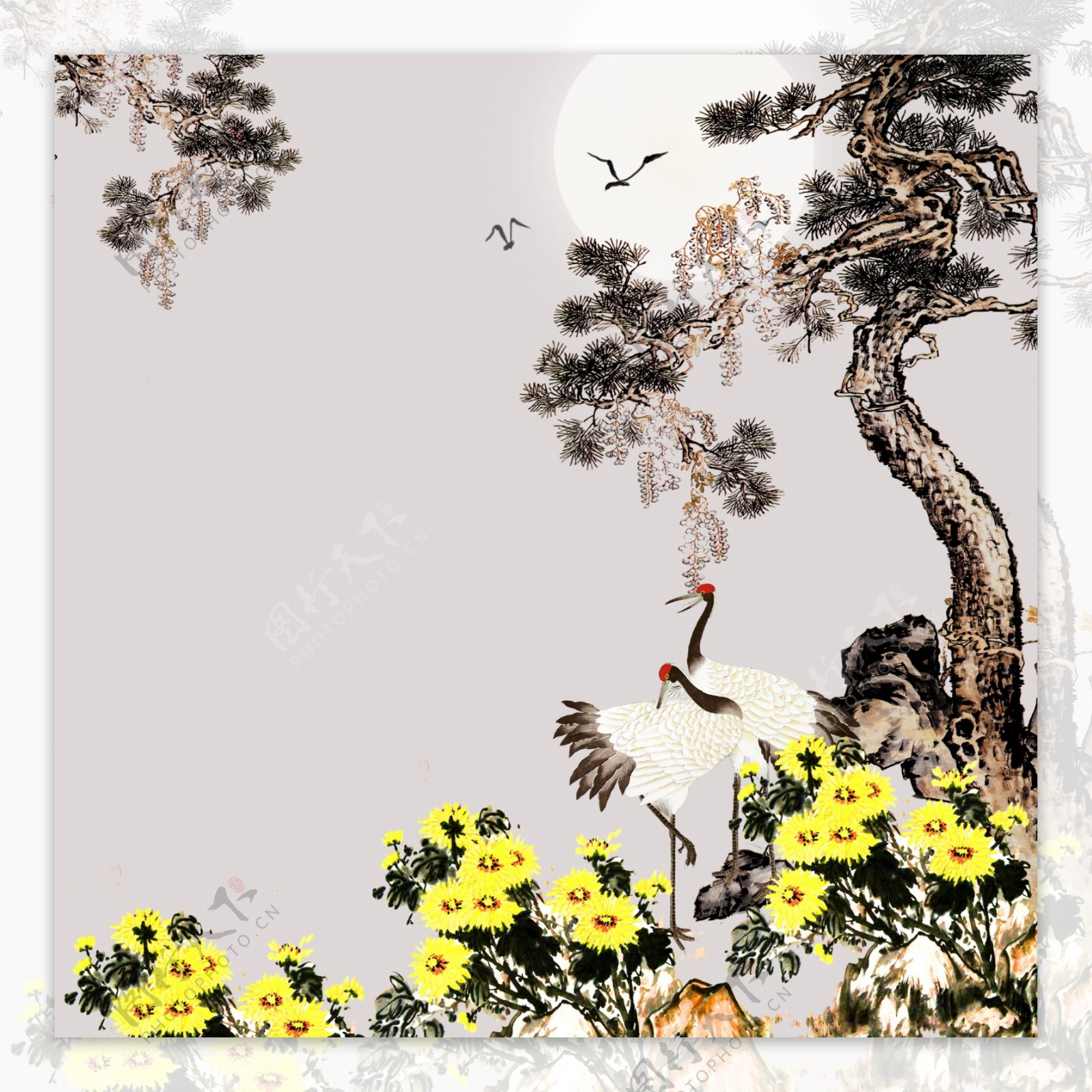 水墨松树白鹤菊花背景