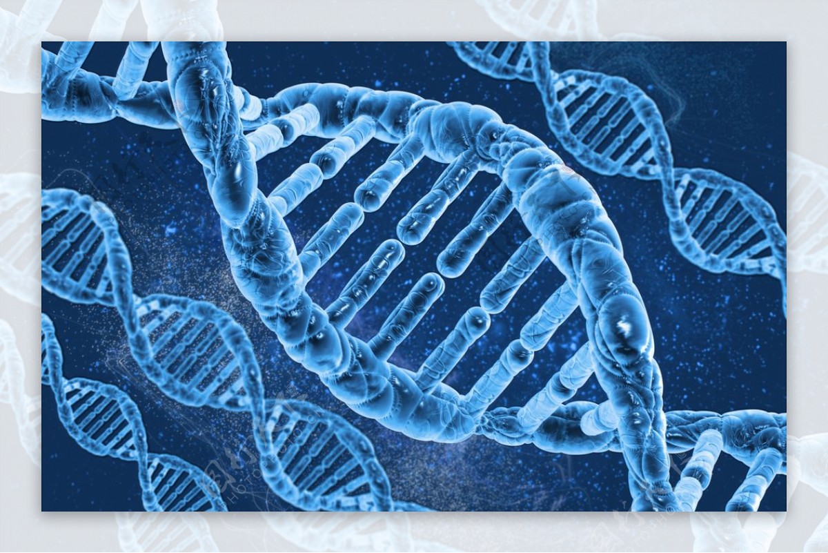 基因链DNA图片素材-编号31913726-图行天下