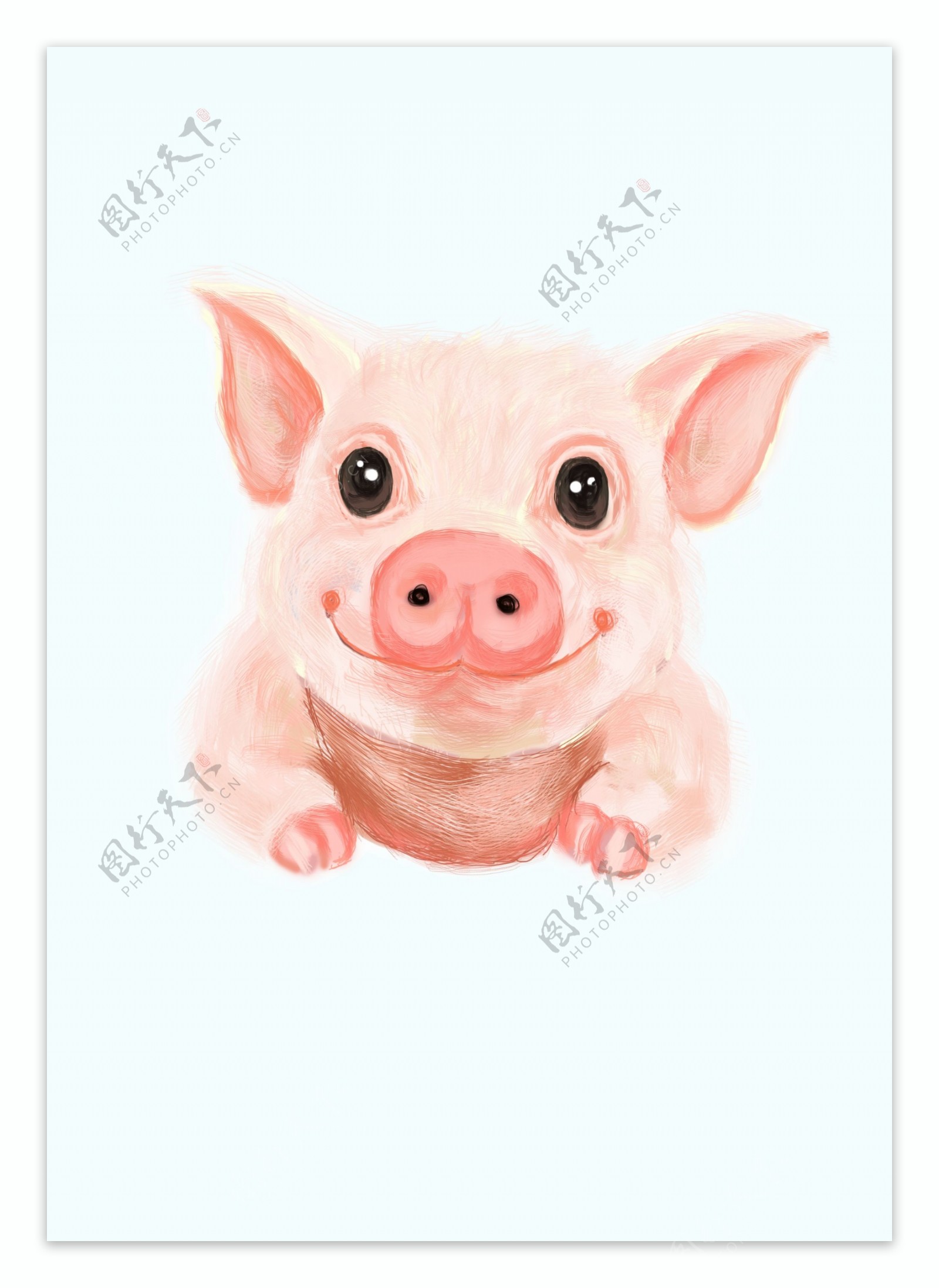 猪年插画手绘素材小猪可爱卡通