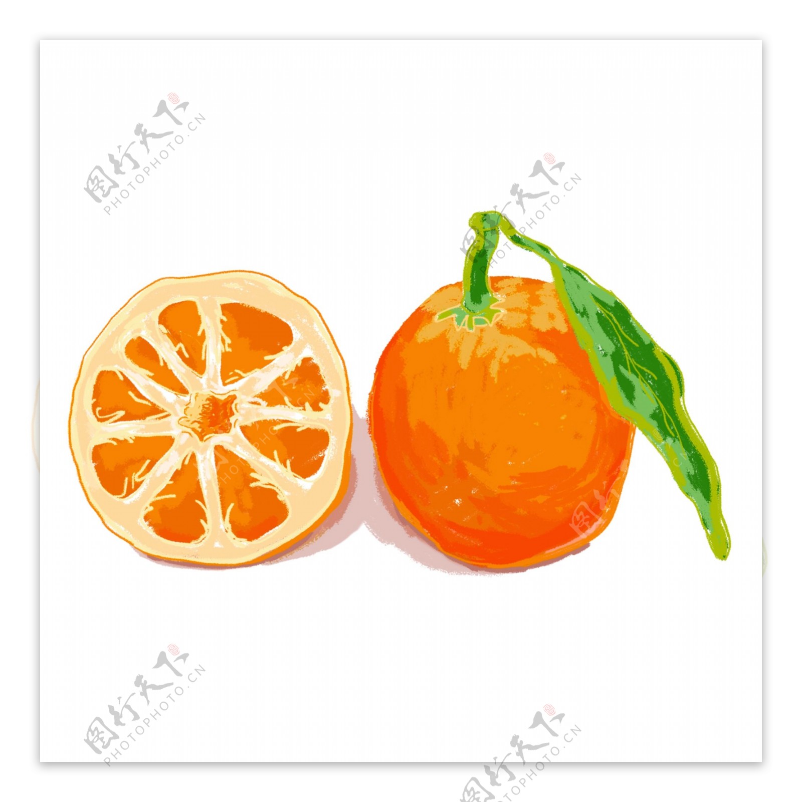 橙子水果透明食物设计素材