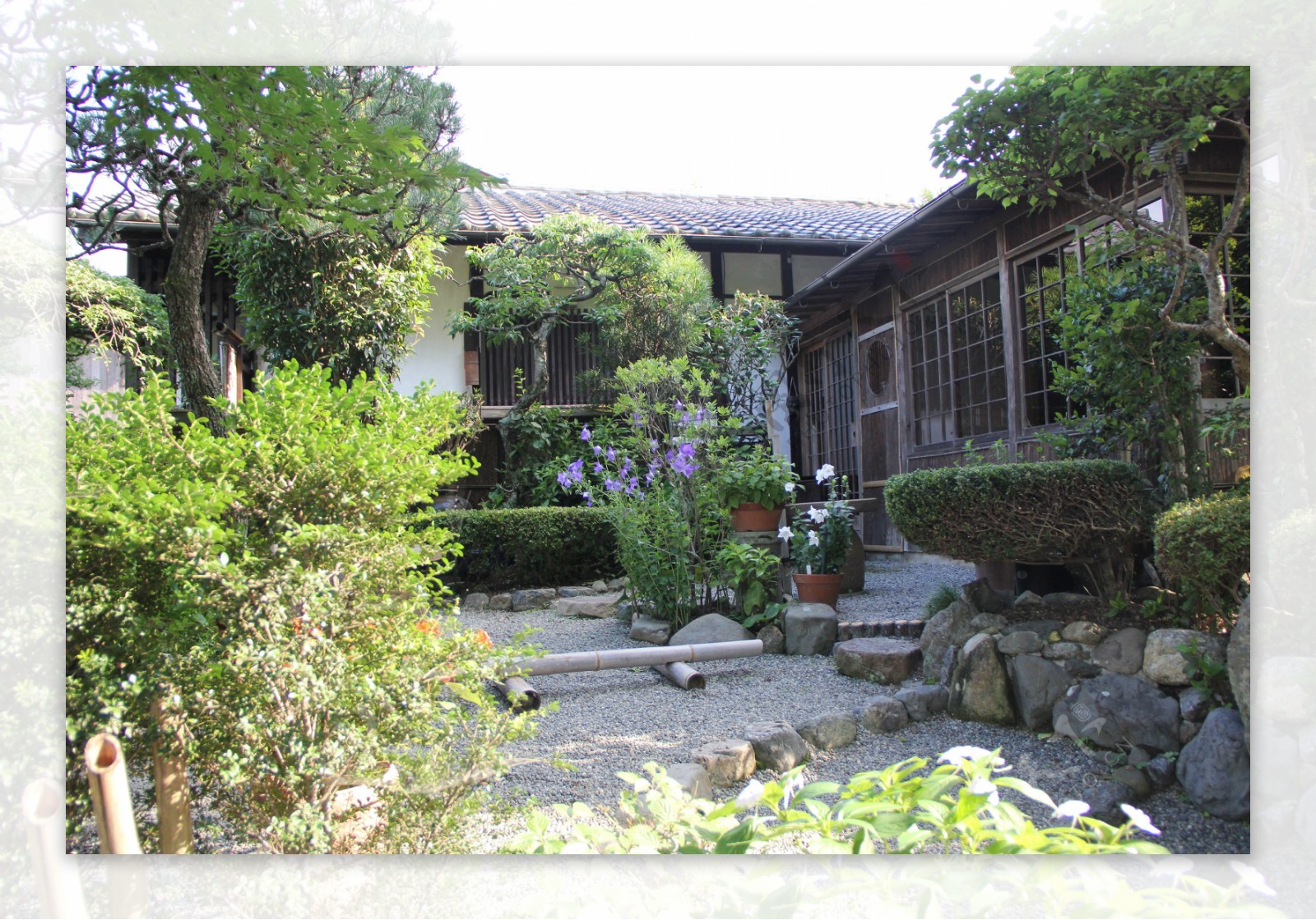 日本摄影素材日式庭院