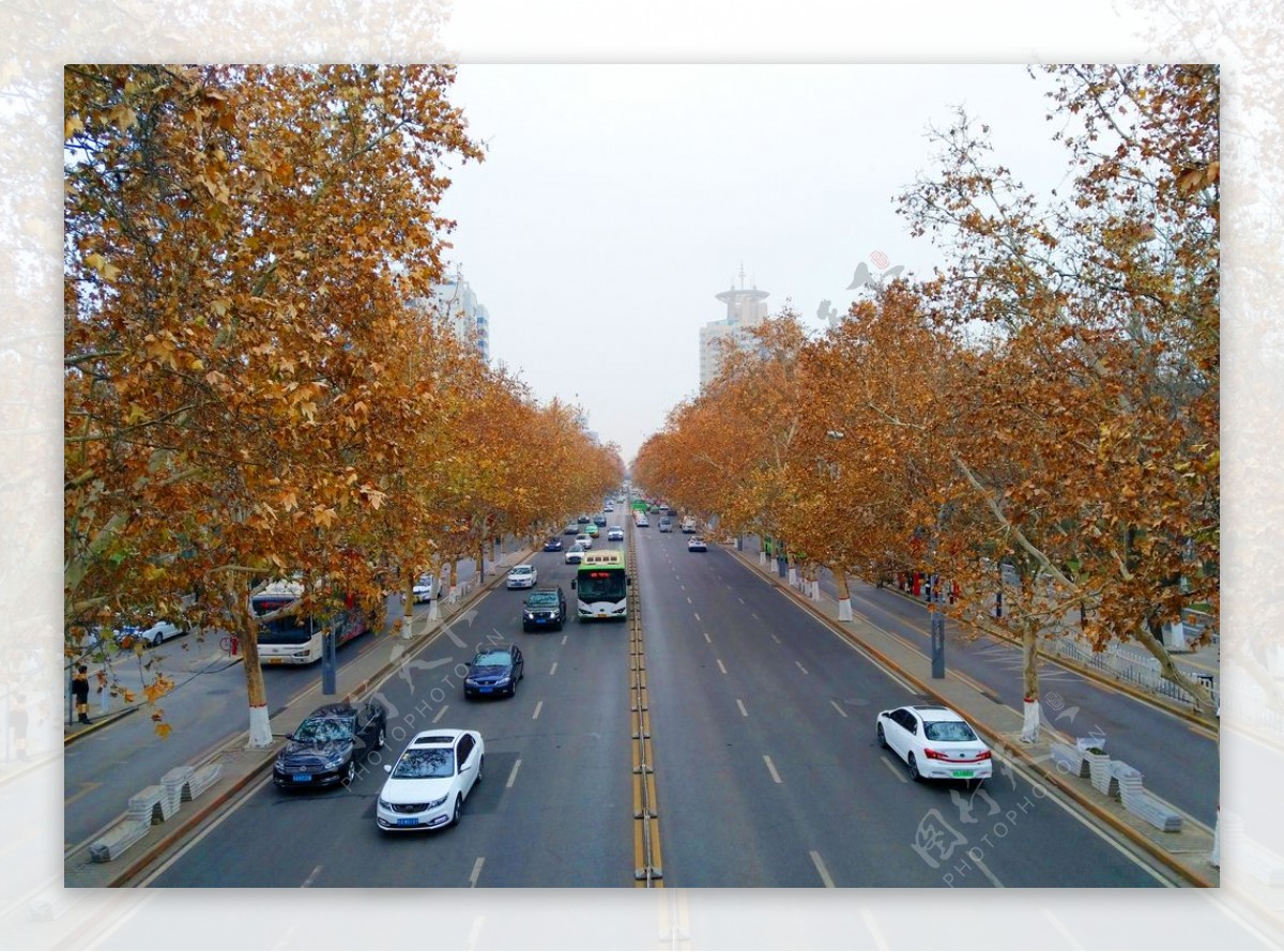 城市道路风景