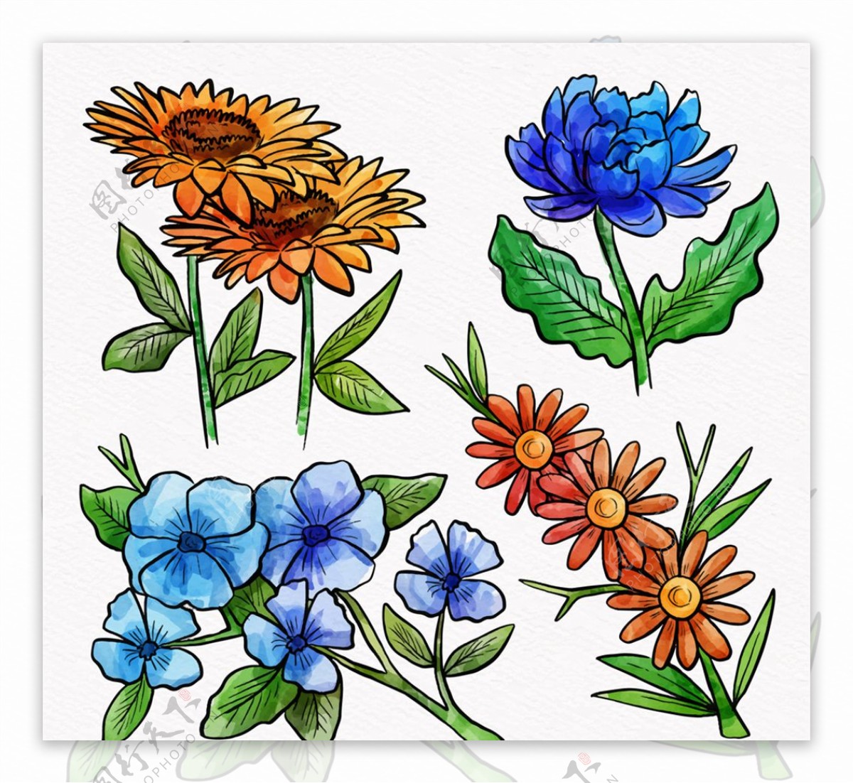 4款手绘逼真花卉设计矢量素材