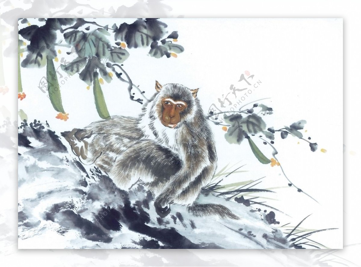 十二生肖猴国画白描