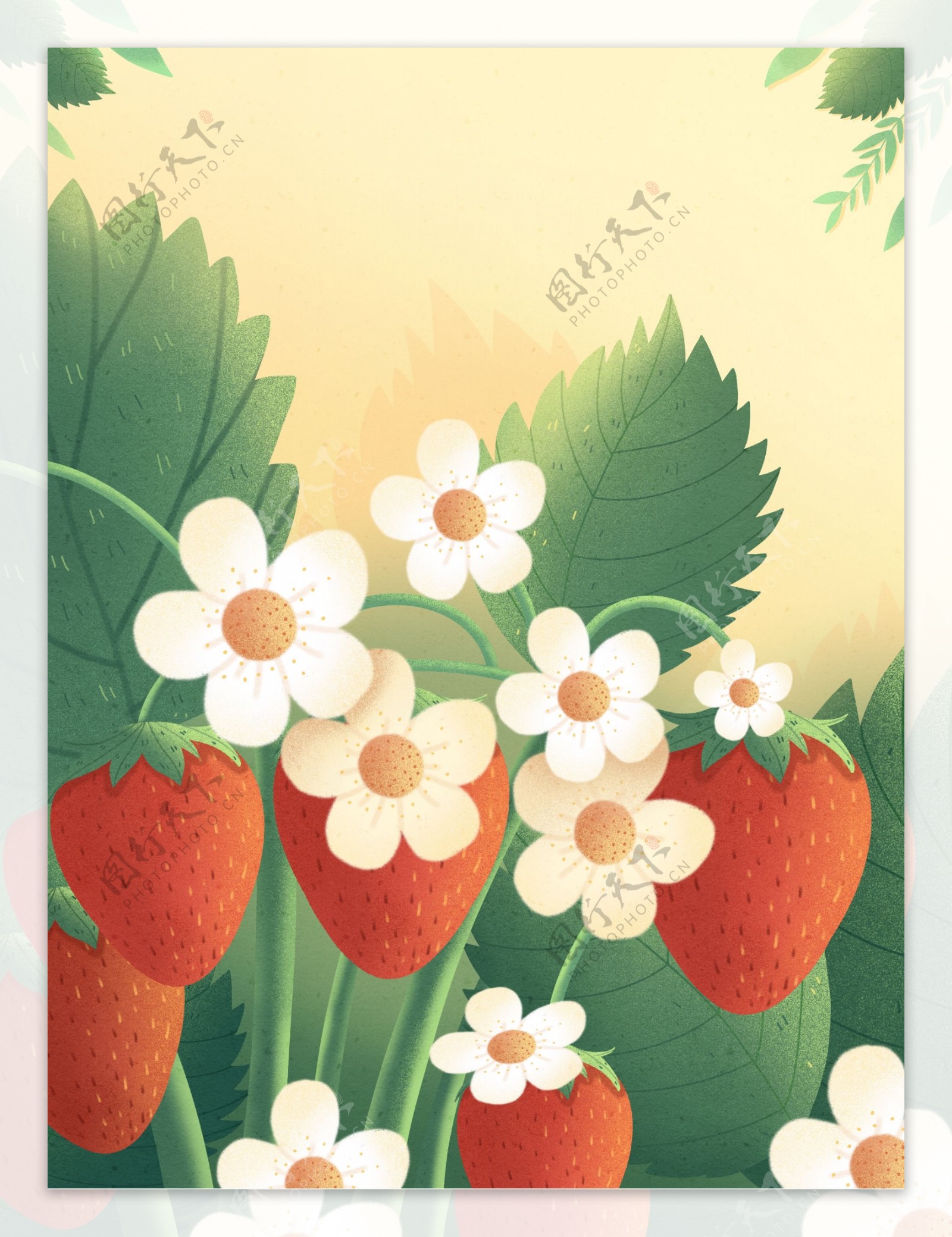 手绘草莓花朵背景设计