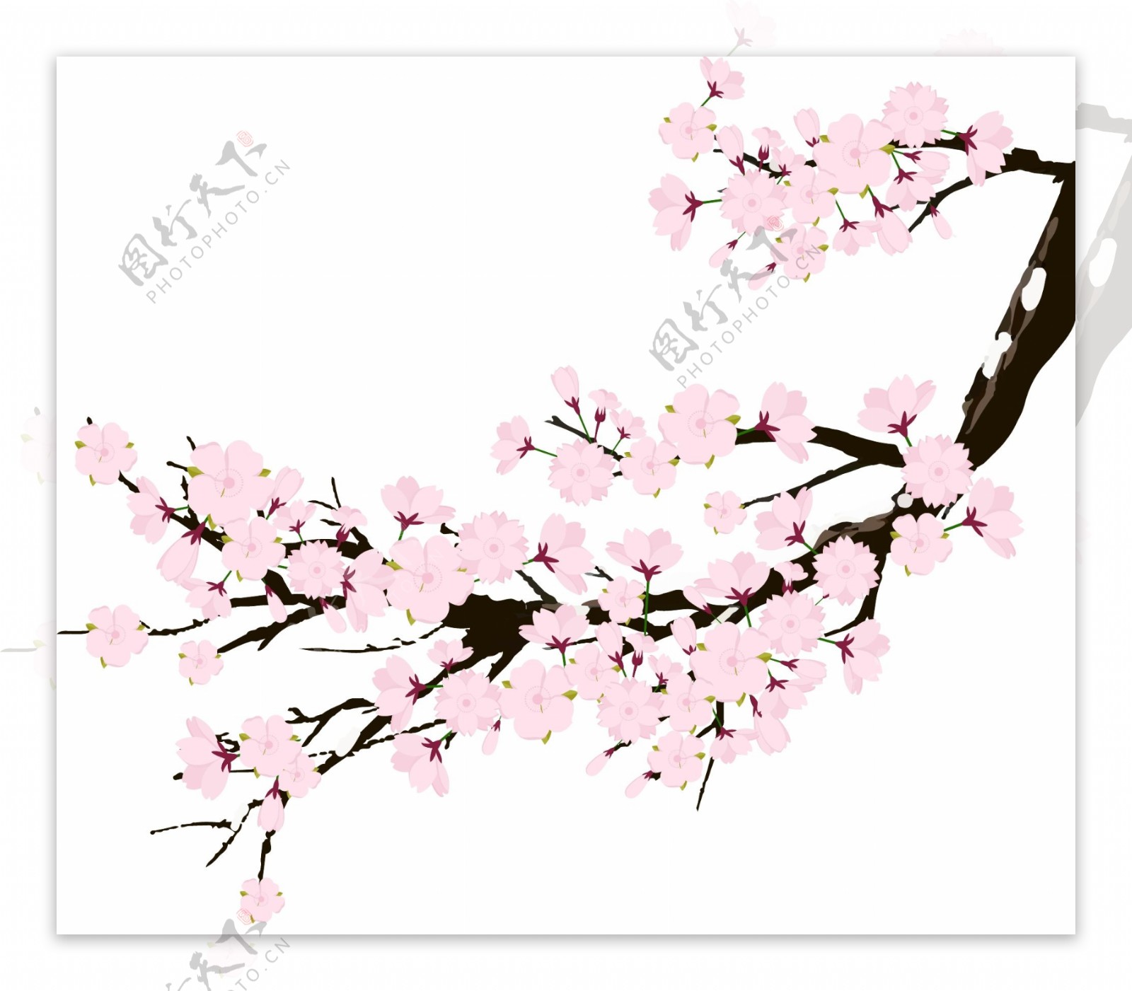 樱花粉色鲜花原创花朵AI矢量设计元素树枝