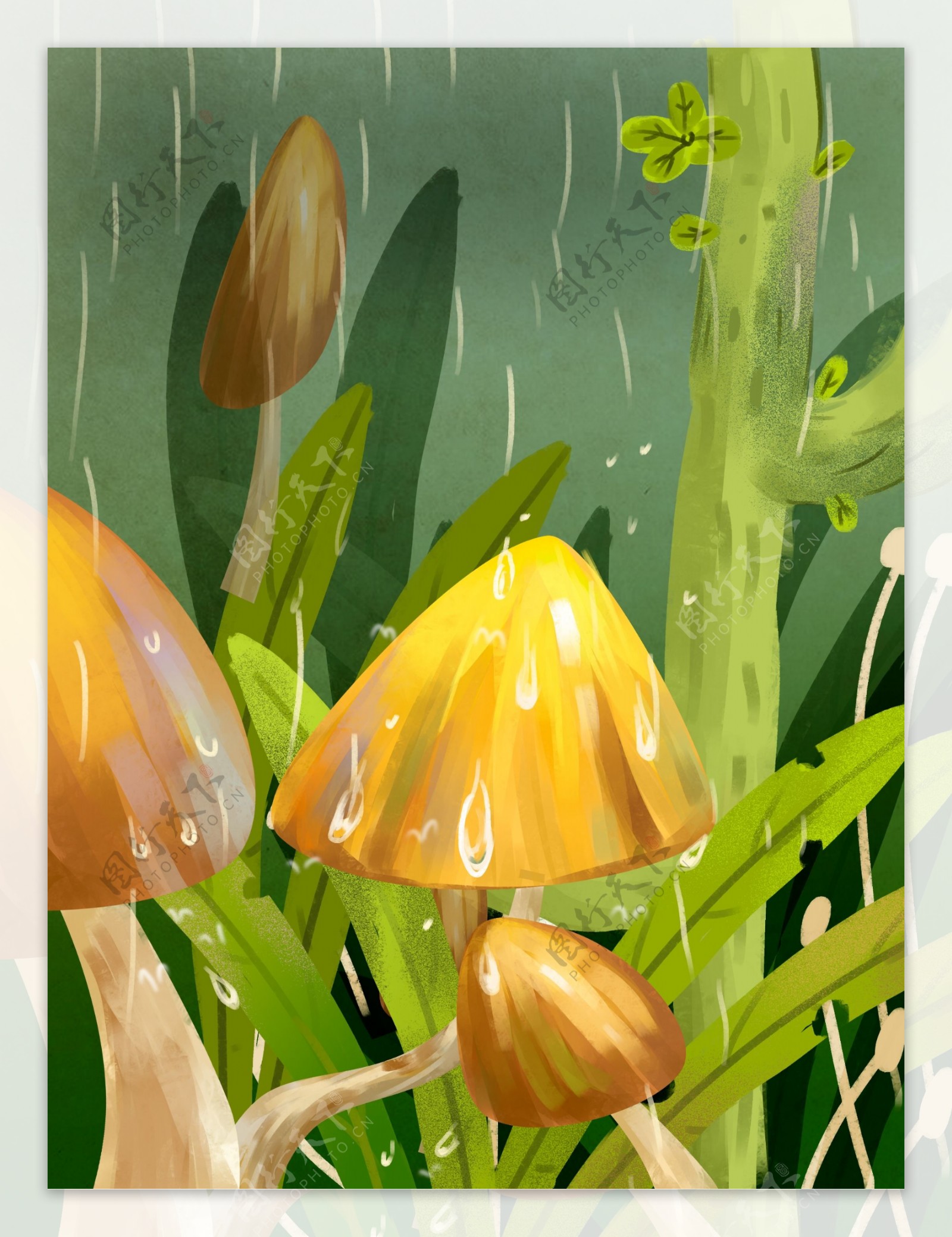 春季下雨草地蘑菇背景素材