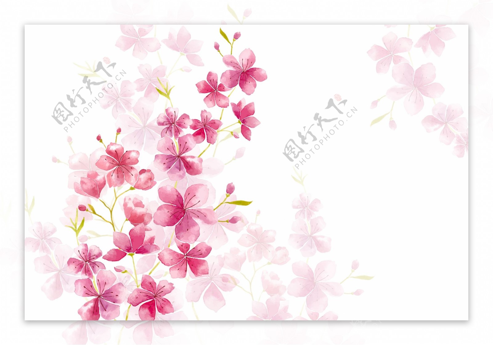 粉红色植物花朵花卉树叶手绘背景