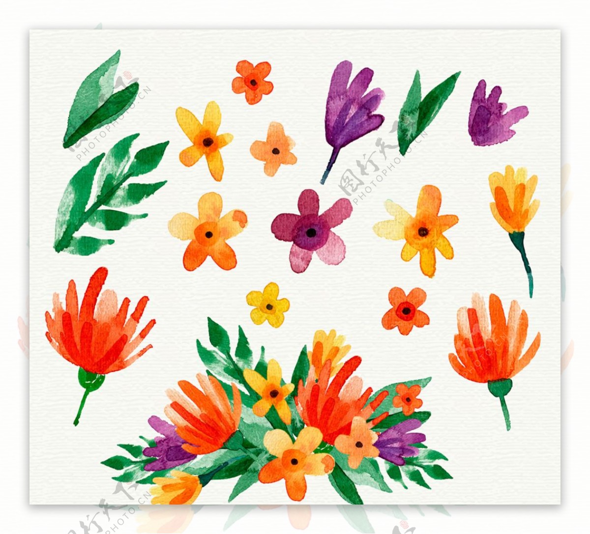 彩绘可爱花卉和叶子