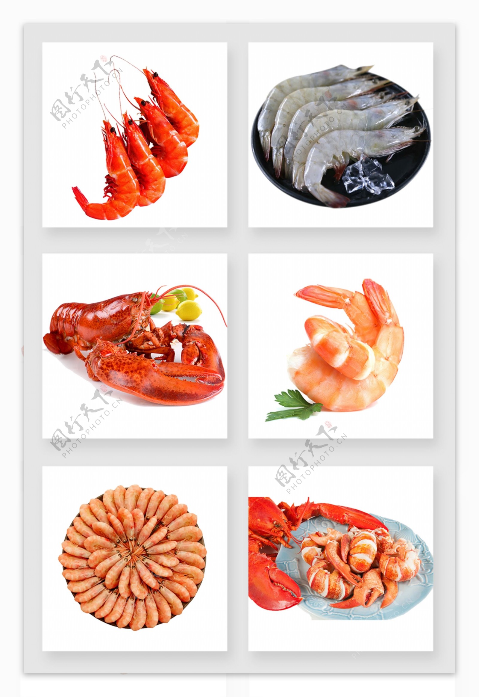海虾基围虾油焖大虾虾免扣合集