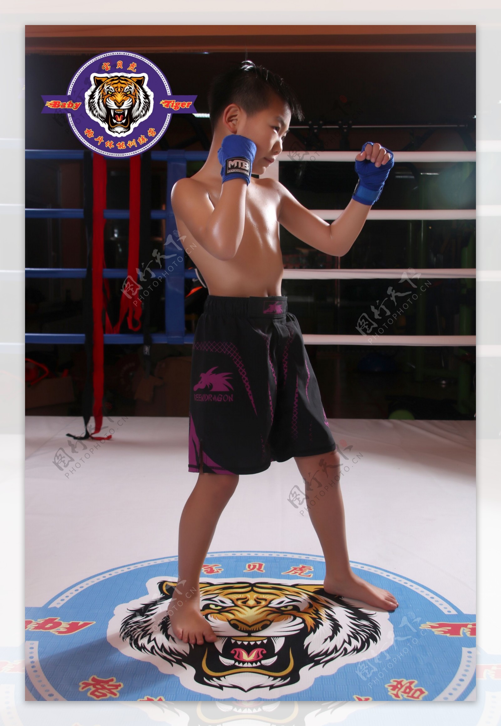 儿童格斗搏击MMA摄影图