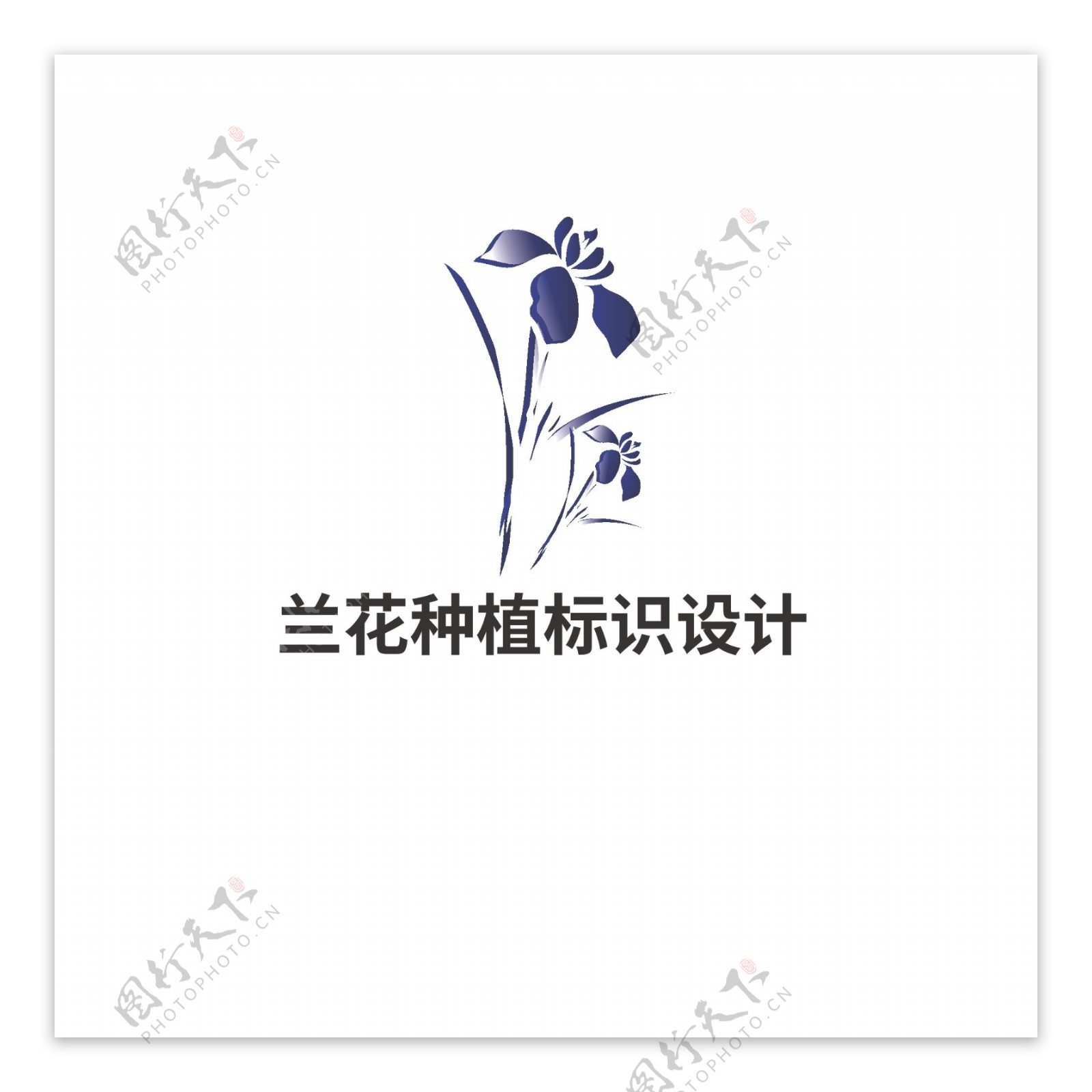兰花种植标识设计