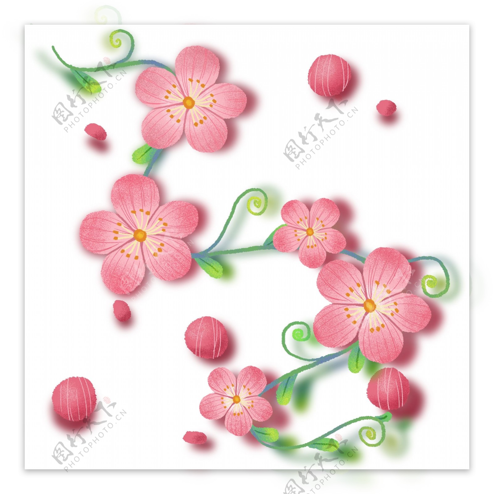 手绘精致梅花花朵图案花纹装饰