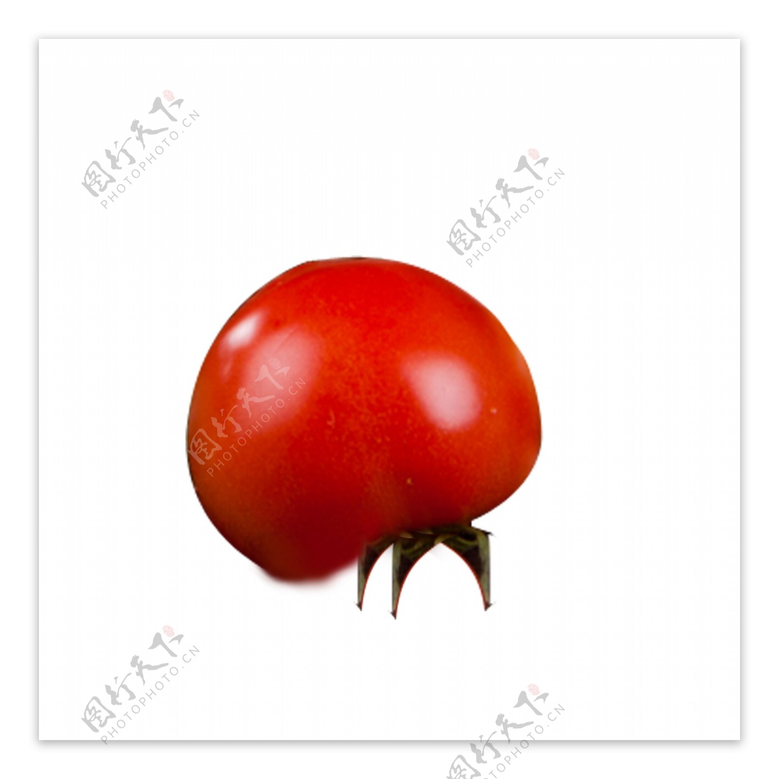 红色圆润西红柿美食元素